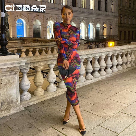 CIBBAR Skinny Aesthetic Print Elegant Evening Partywear Maxi Dress Women Autumn Retro Fahsion Long Sleeve Hipster Female Clothes